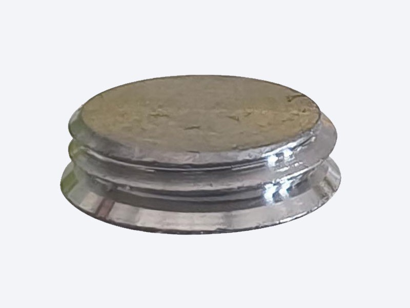 Acetabular Cup Hole Plug