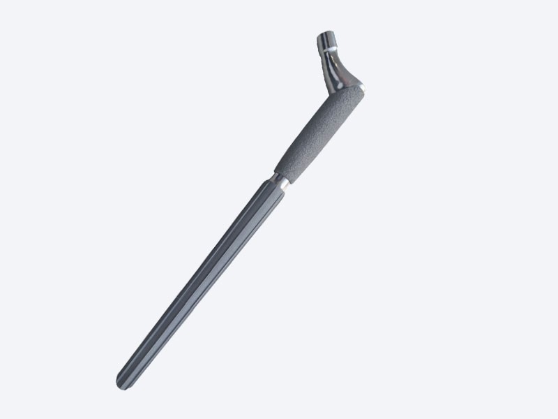Modular biologic femoral stem