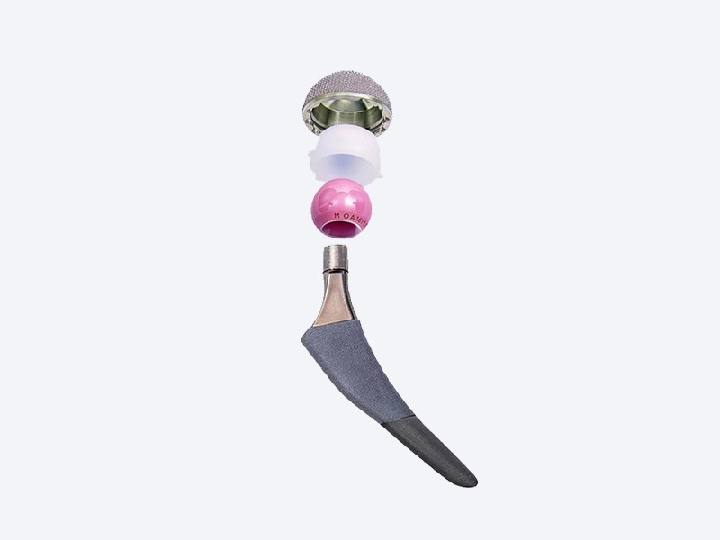 biological femoral stem titanium coating