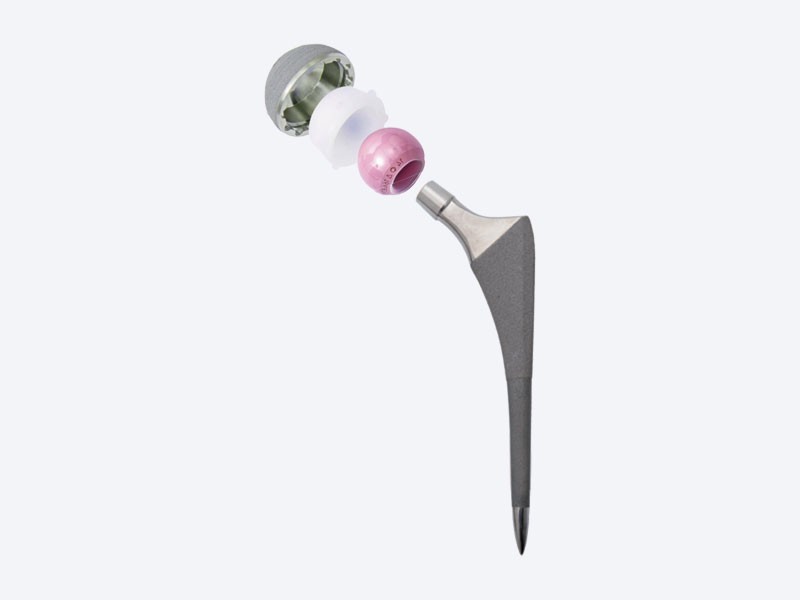 biological femoral stem titanium spray